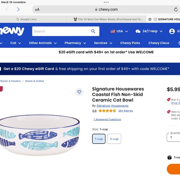 SIGNATURE HOUSEWARES INC. SET OF 2 FISH THEMED CAT FEEDING/WATER BOWLS - Picture 11 of 12